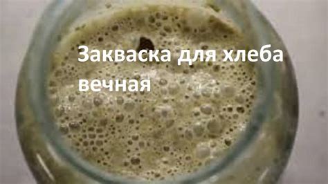 Закваска для хлеба вечная. #суфикс - YouTube