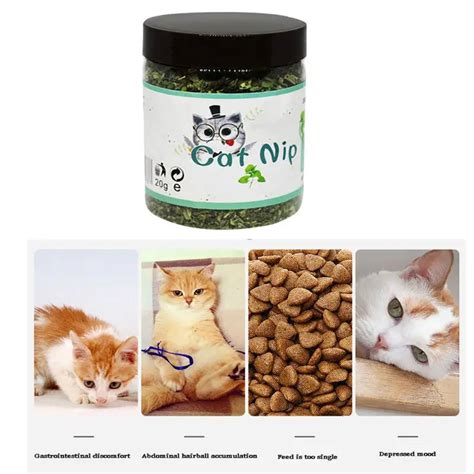 Buy 100 Natural Organic Premium Catnip Catmint Powder