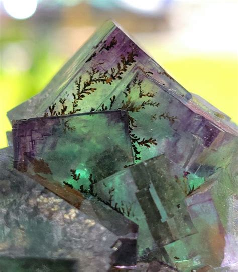 Mac On Twitter Extremely Rare Dendrites On Fluorite From Okorusu