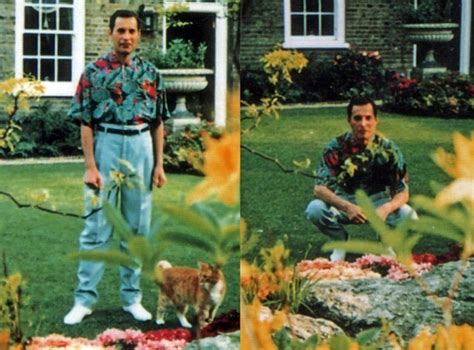 Freddie poses for photos at spring 1991. The last Freddie's photos made by his husband Jim ...