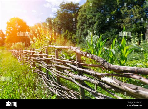 Woven Fence Hi Res Stock Photography And Images Alamy