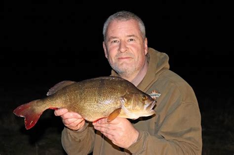 How To Catch Big River Perch Dynamite Baits