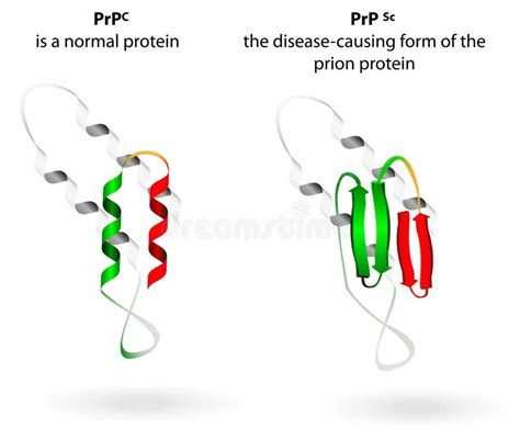 Protein Стоковых иллюстраций и клипартов – (120,367 Стоковых иллюстраций)