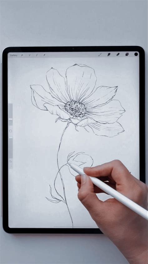 Pin On Dibujos Flower Drawing Line Art Drawings Digital Art Tutorial