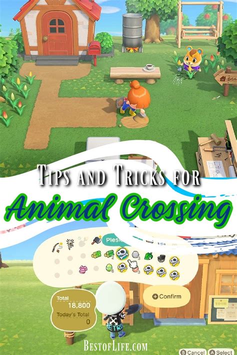 Animal Crossing New Horizons Tips And Tricks The Best Of Life