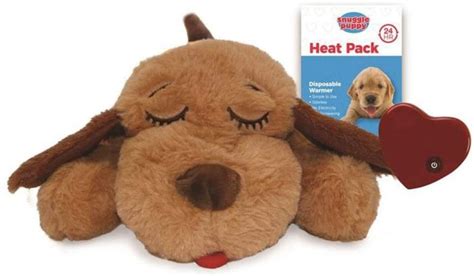 4 Best Dog Separation Anxiety Toys to Soothe Your Pet