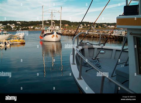 Fishing Boats Dildo Newfoundland Stock Photo Alamy