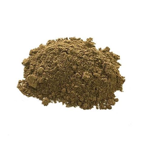 Wholesale Bulk Chanca Piedra Powder