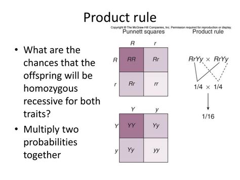 Dihybrid Punnett Square Practice Problems Punnett Squares Monohybrid Dihybrid And Sex Linked