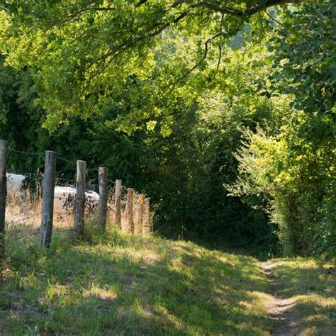 Lancelot au pays de Lassay Portail du tourisme du département La