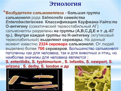 Сальмонеллез