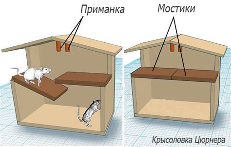 Крысоловки: обзор лучших конструкций (тех, которые можно купить, и ...
