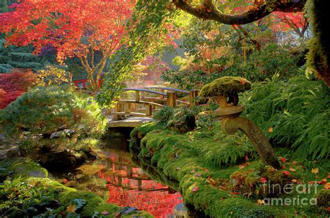Japanese Garden Bridge Photograph By Michael Wheatley Pixels