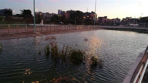 Laghetto Del Parco San Marco Ecco Cosa C Da Fare Subito Luna Notizie Notizie Di Latina