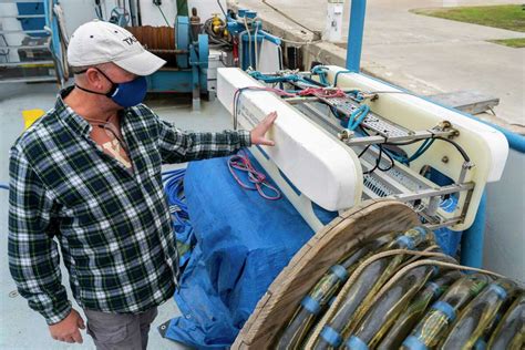 As The Seas Rise And Storms Threaten Scientists Hunt For Sand To