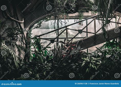 Interior Of A Botanic Garden With Many Different Species Of Plants And
