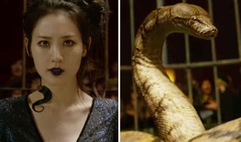 Nagini Harrypotterfanczech Wiki Fandom