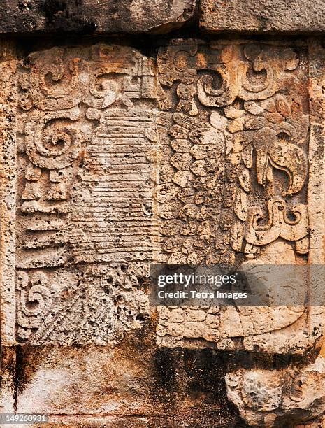 Maya Bird Photos And Premium High Res Pictures Getty Images