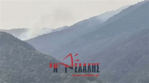 katerini fotia se dasiki ektasi sti sarakatsana foto binteo