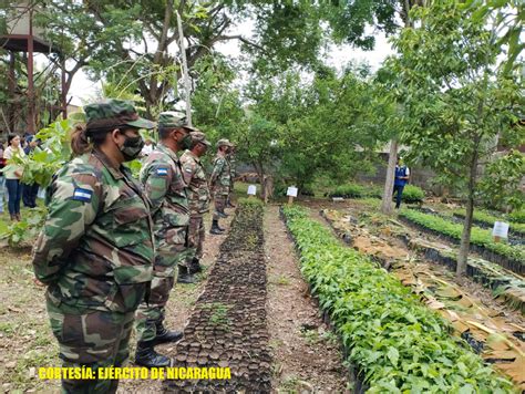 Ej Rcito De Nicaragua Participa En Inauguraci N De Vivero Forestal El