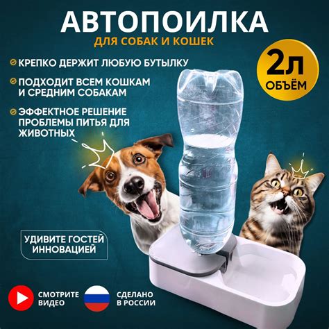 Автопоилка для кошек и собак 2 литра - купить с доставкой по выгодным ...