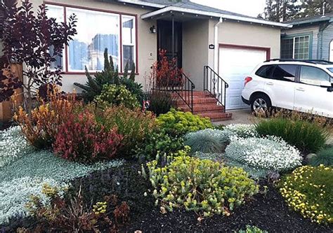 Drought Tolerant Landscaping Saves Money And Water