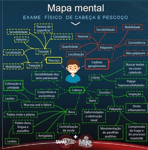 Mapa Mental Exame Fisico Cabeça E Pescoço Hot Sale fast lisa unibo it