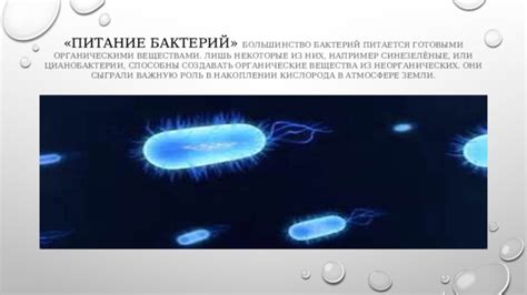 Презентация по биологии "Строение и жизнедеятельность бактерий"