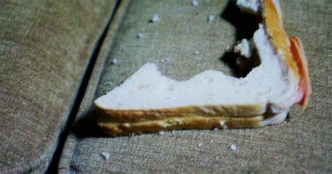 slug sandwich  honorable mention preschool blog