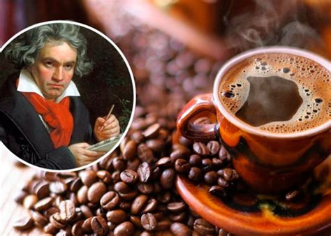 Интересные факты о кофе – достоверно и кратко о популярном напитке