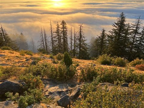 Best thing to do before leaving Eugene : r/Eugene