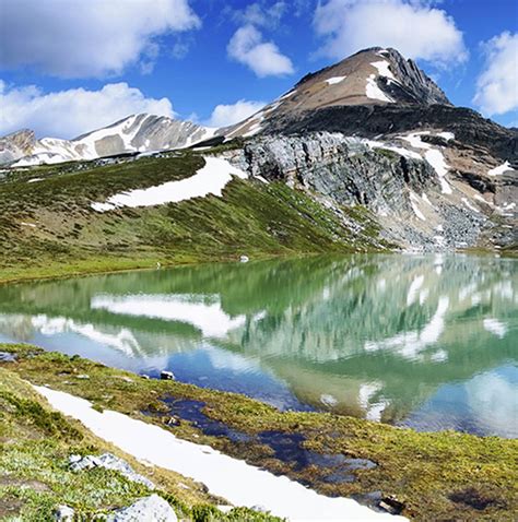 10 Best Canada Alaska Tours And Trips 20252026 Tourradar