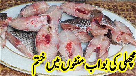 How To Wash And Clean Fish Before Cooking Fish Wash Karne Ka Tarika