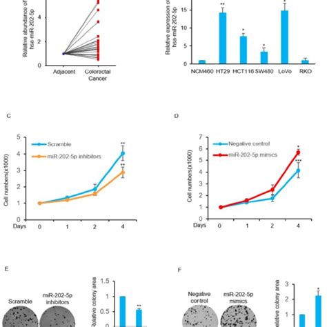 Aberrant Expression Of Mir P In Colorectal Cancer Is Critical For