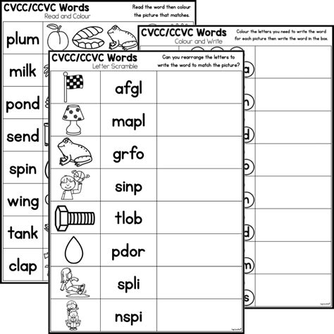 Cvcc Ccvc Words Worksheet Package State Fonts Top Teacher