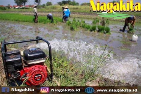 pengairan sawah niagakita