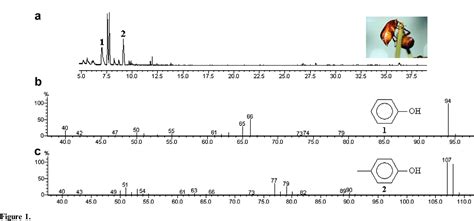 PDF Identification Of The Sex Pheromone Of Phyllophaga Cuyabana Coleoptera Melolonthidae