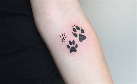 Share More Than Paw Paw Tattoo Best In Cdgdbentre