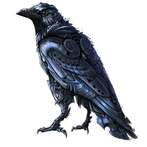 American Crow Png Picture Png All