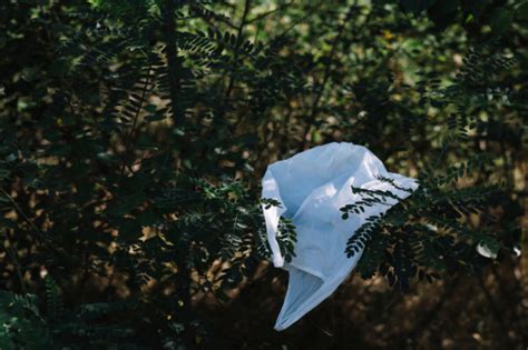 Poppersgeschichte Wilder Sex