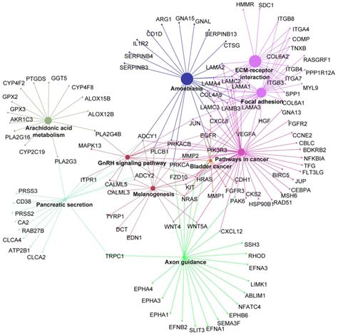 Identification Of Key Candidate Genes Involved In Melanoma Metastasis