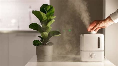 Как понять, что в квартире сухой воздух?