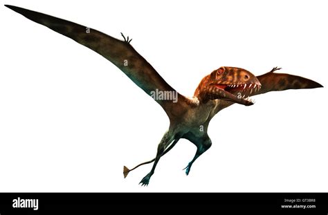 Flying pterosaur reptile hi-res stock photography and images - Alamy