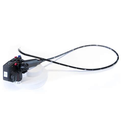 Ветеринарный гастроскоп видео - TG326-12G - Dr. Fritz Endoscopes - с ...
