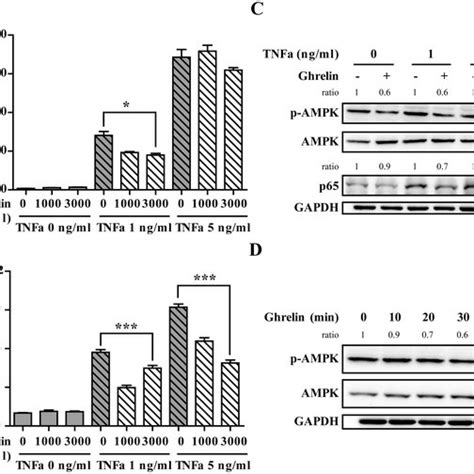 Ampk Inhibitor Suppressed Tnf Induced Inflammatory Factors