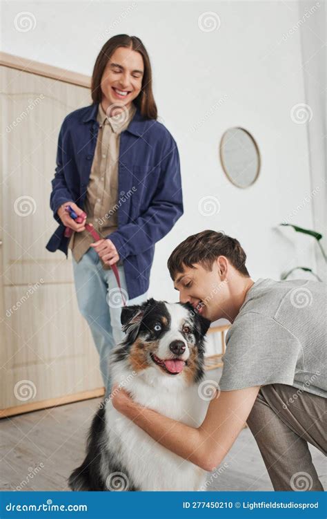 Un Hombre Gay Sonriente Acariciando A Un Adorable Australiano Foto De Archivo Imagen De