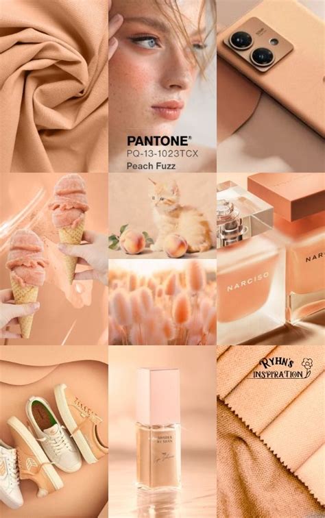 Pantone S Color Of The Year 2024 Is Peach Fuzz Artofit