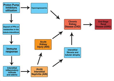 Scielo Brasil The Relationship Between Proton Pump Inhibitors And