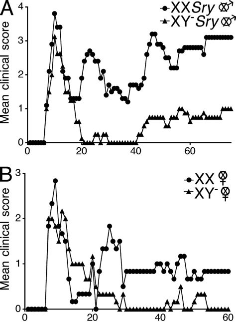 The Xx Sex Chromosome Complement As Compared With The Xy⁻ Confers