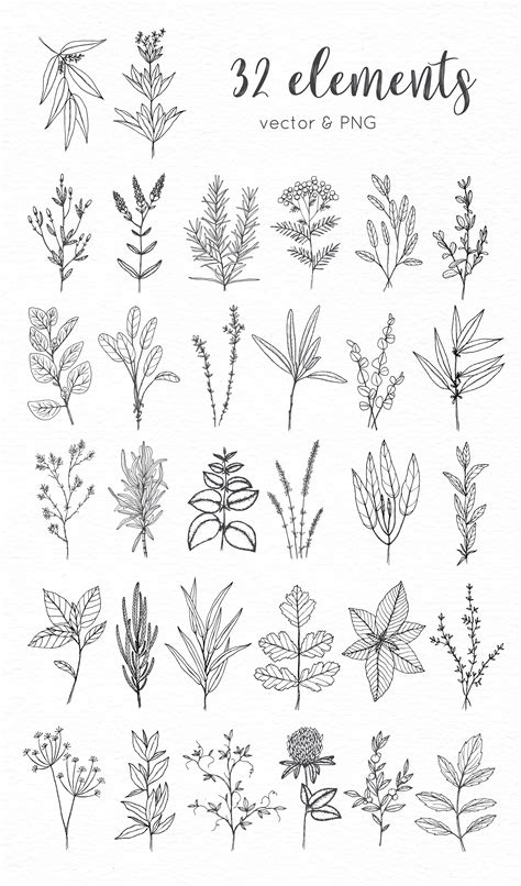 Cooking Herbs & Plants, an Illustration by Crocus Paperi | Flower